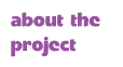 about the project